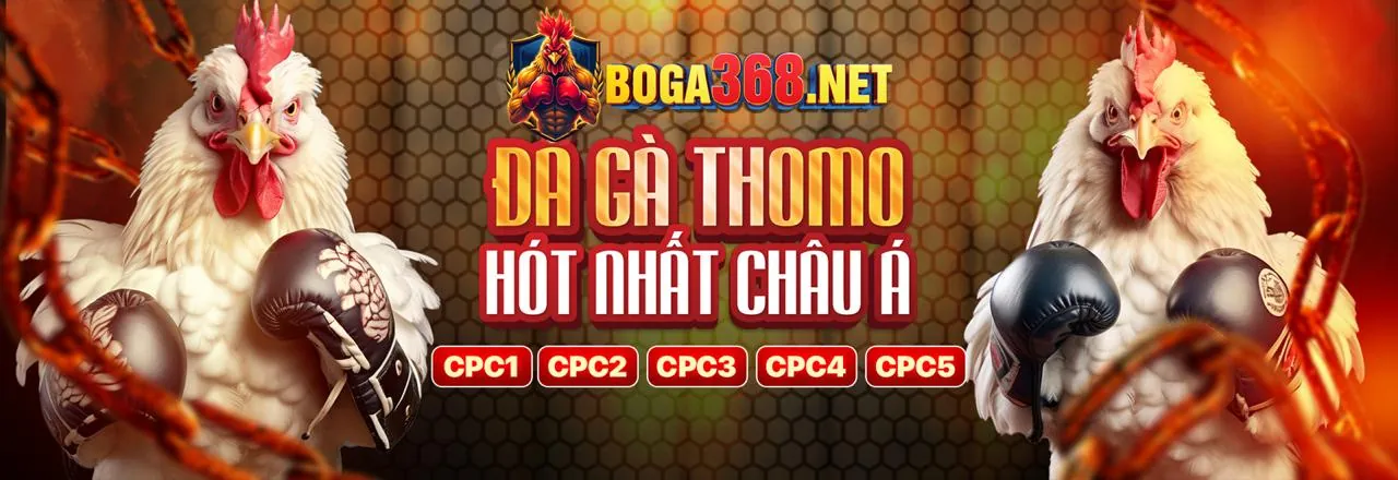 Hình ảnh khuyến mãi hấp dẫn tại trangbet88 link mới